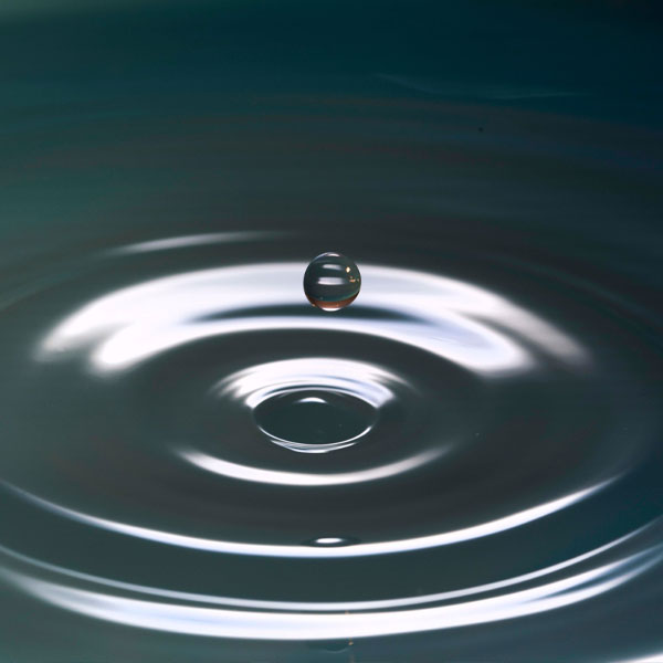 海と月の別邸 サウナ