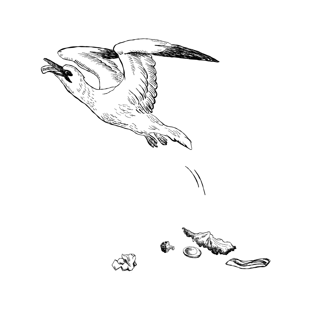 テラスに飲食物や私物を放置しないでください。<br />
海鳥に持ち去られる可能性がございます。<br />
害虫・害獣対策にご協力お願いいたします。